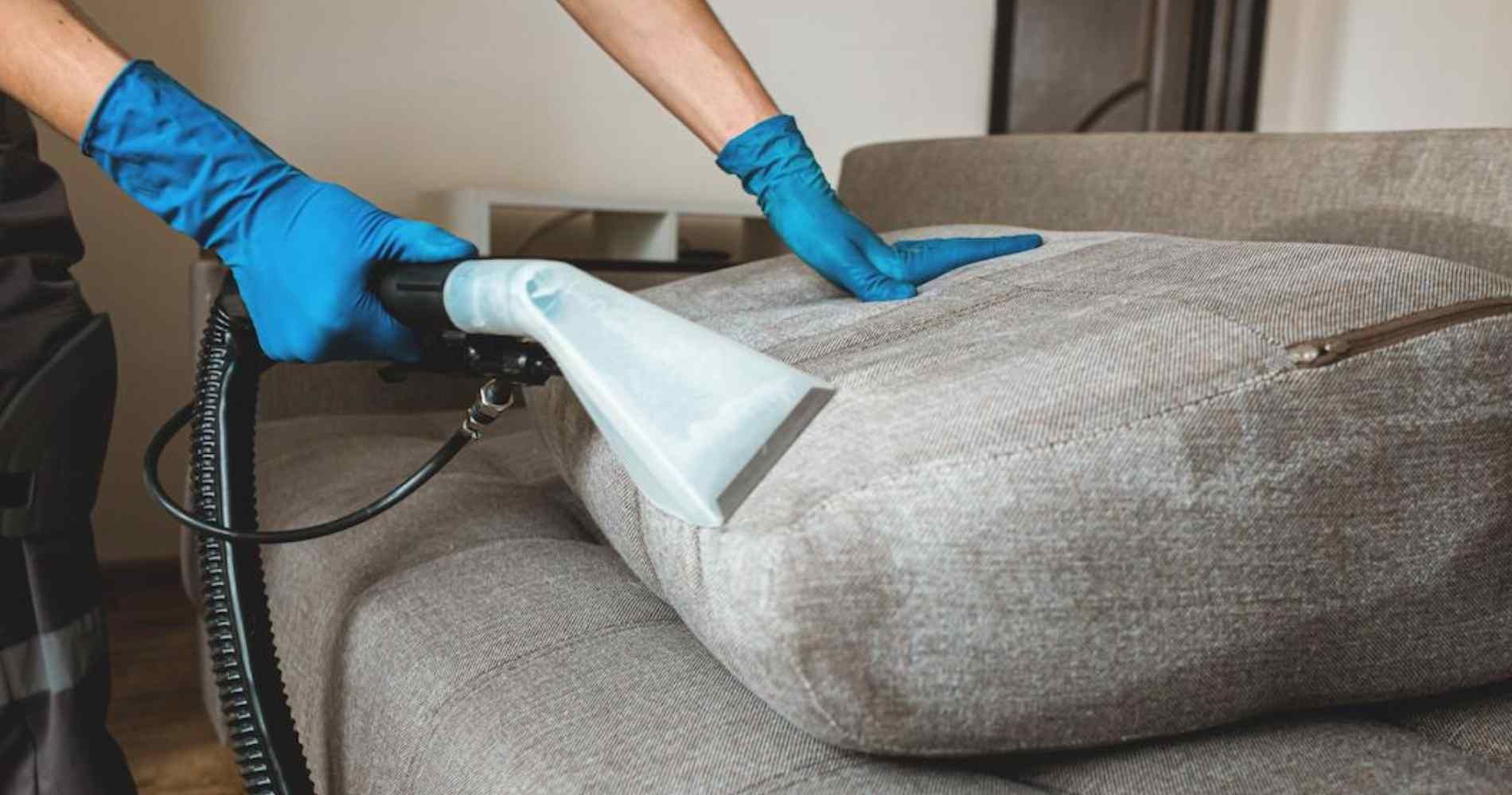 Leaders In Upholstery Cleaning Reston Va 1