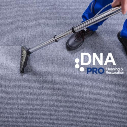 Professional Carpet Cleaning Potomac Va 1