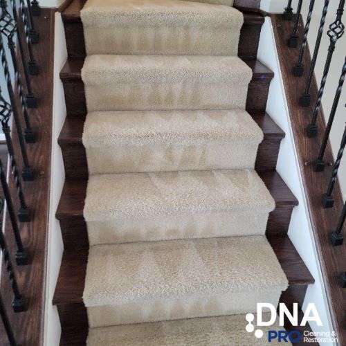 carpet cleaning annandale va result 5
