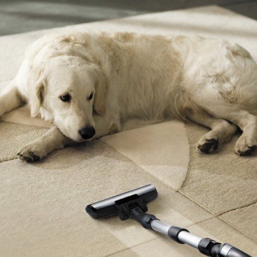 Professional Odor Control Oakton Va