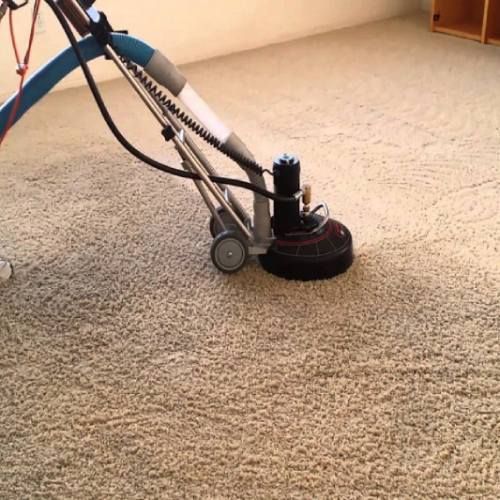 Commercial Carpet Cleaning Results 3