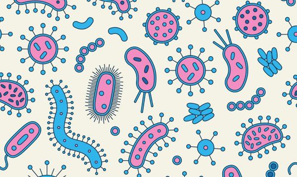 Dnapro Pathogens Dnapro Pathogens