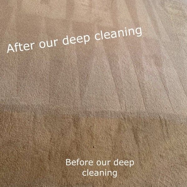 carpet cleaning alexandria va result 7
