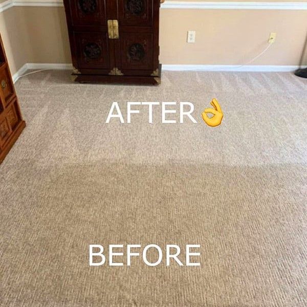 carpet cleaning alexandria va result 8